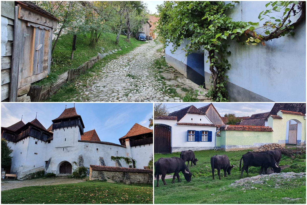 Viscri | Deutsch Weisskirch (Teil 2 von 2) | Landkreis Brasov